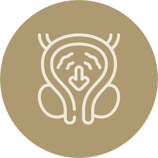 Hiperplasia de Próstata (HPB)