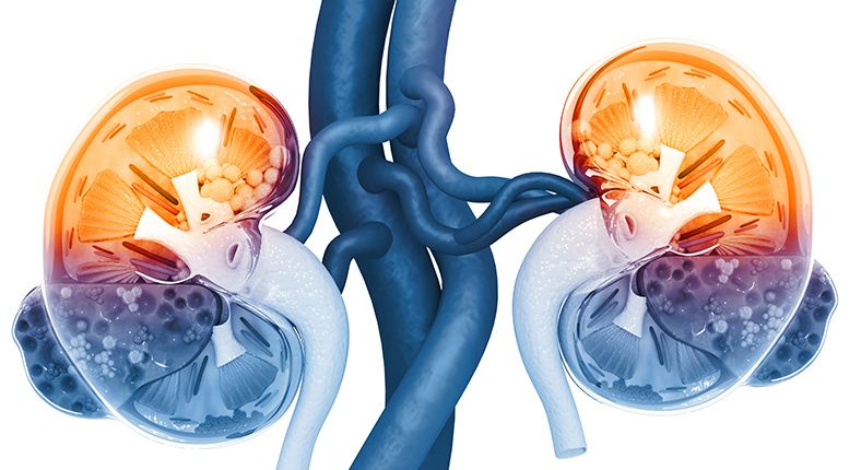 O que é a Urologia?