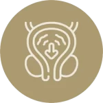 Hiperplasia Prostática Benigna (HPB)